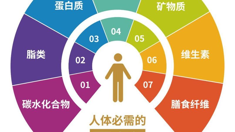 OEM乳清蛋白粉生产：揭秘其背后的工艺与价值